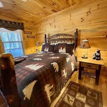 2 Bed Cabin Hot Tub Close To Helen #16 Bagian luar foto